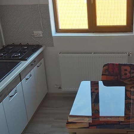 Studio Elisa Apartment Caransebes Luaran gambar