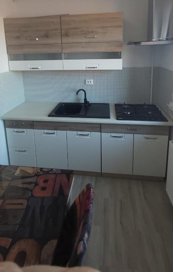 Studio Elisa Apartment Caransebes Luaran gambar