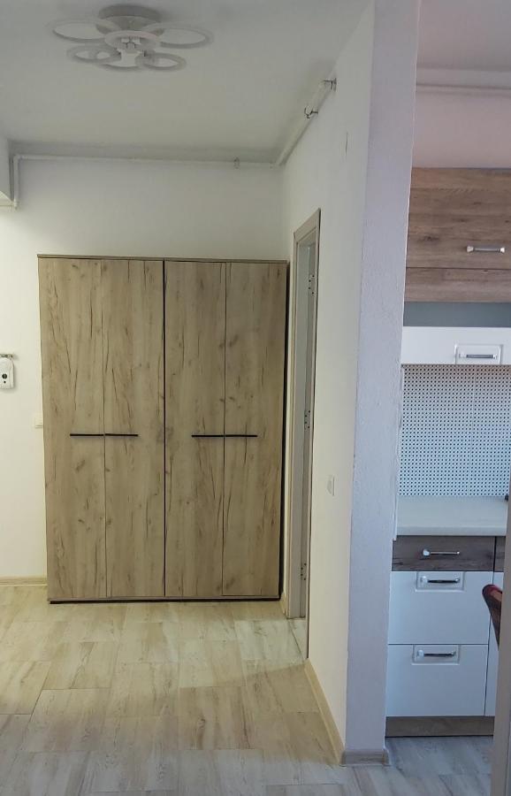 Studio Elisa Apartment Caransebes Luaran gambar