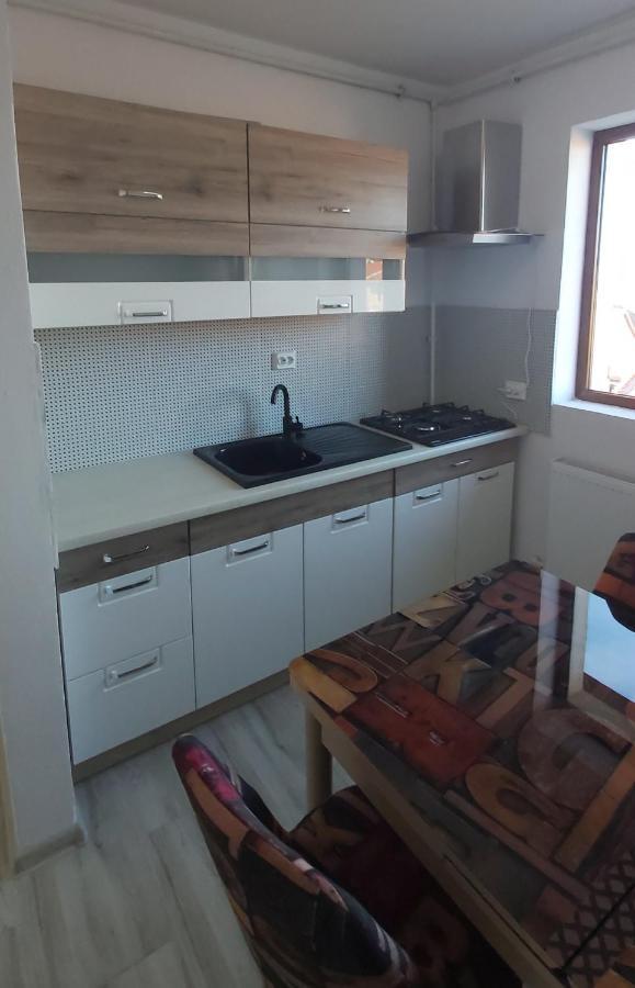 Studio Elisa Apartment Caransebes Luaran gambar