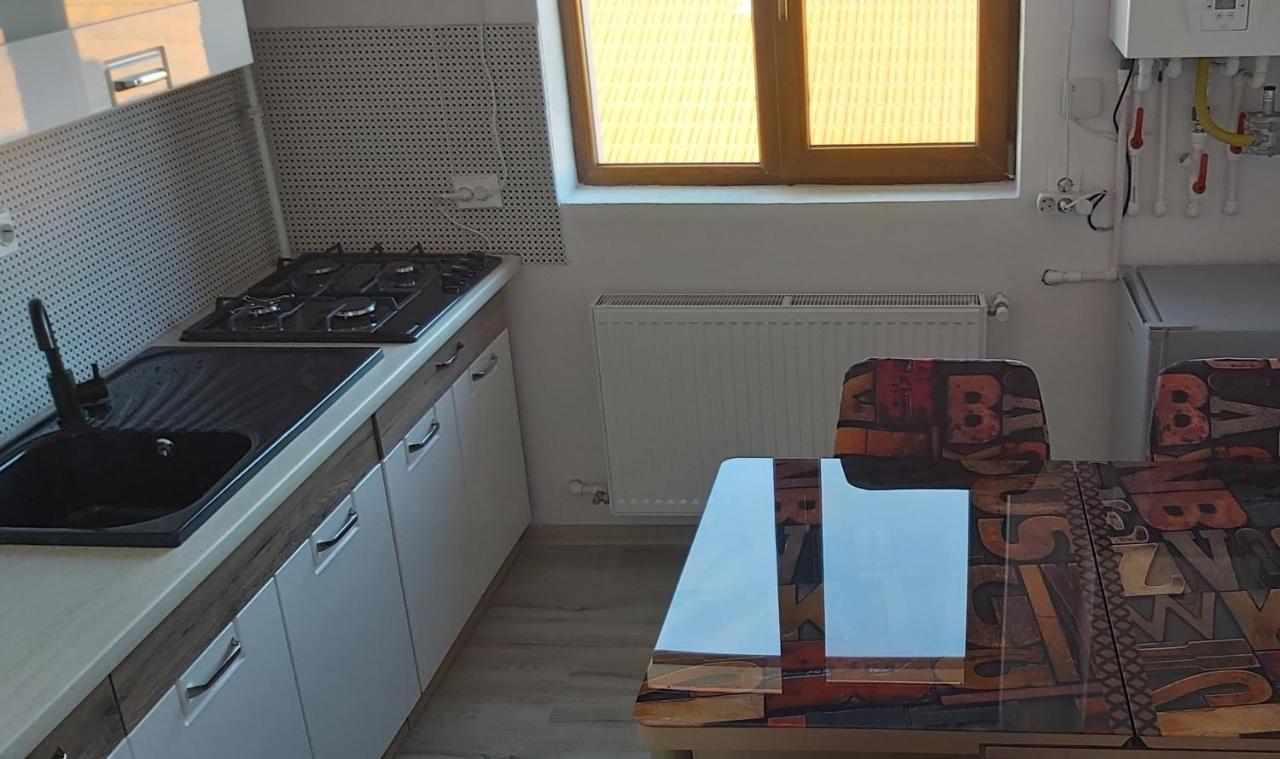 Studio Elisa Apartment Caransebes Luaran gambar