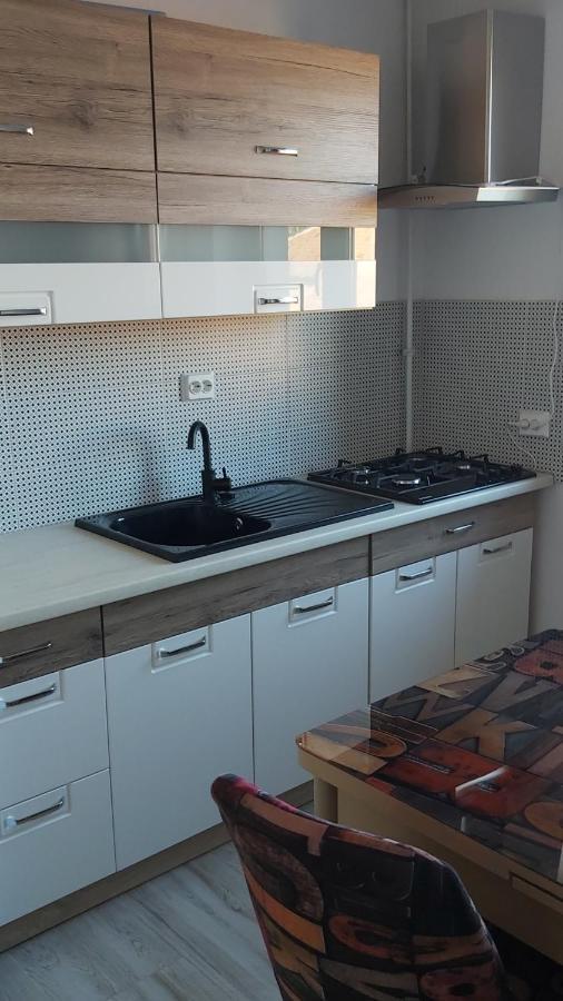 Studio Elisa Apartment Caransebes Luaran gambar