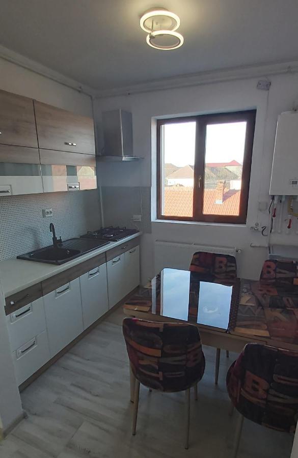 Studio Elisa Apartment Caransebes Luaran gambar